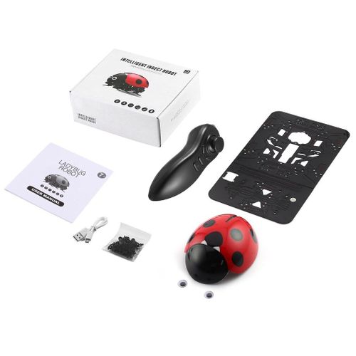Télécommande De Simulation Coccinelle Coccinelle, Jouet Électronique, Bricolage, Cadeau D'Anniversaire Pour Enfants, Nouveauté, Jouets De Simulation D'Insecte