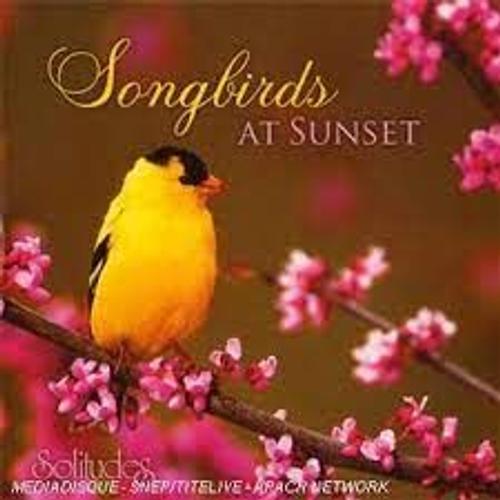 Songbirds At Sunset / Solitudes