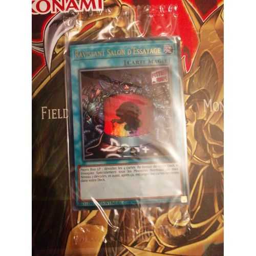 Ravissant Salon D'essayage Lart Fr040 Ultra Rare