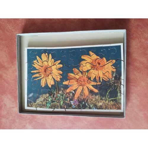 Ancien Puzzle En Bois De 32 Pièces