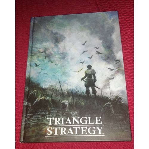 Notebook Triangle Strategy