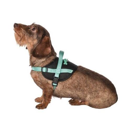 Harnais Easy Safe Lagon Chien Taille S