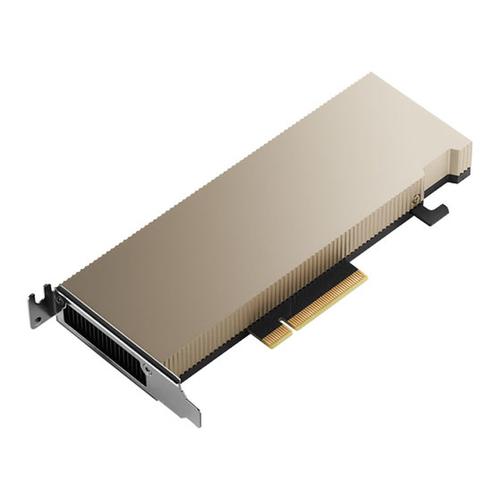 NVIDIA A2 - Processeur de calcul - A2 - 16 Go GDDR6 - PCIe 4.0 x8 profil bas - san ventilateur