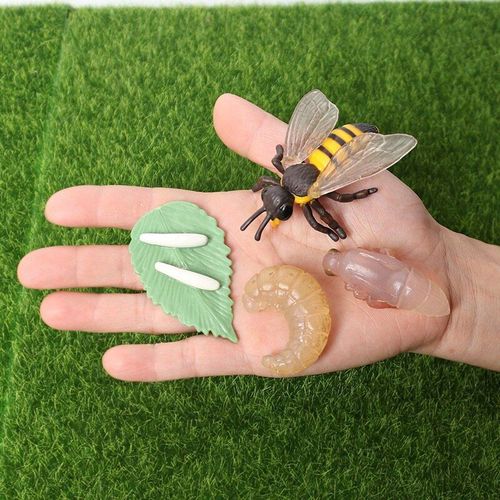 Simulation De Créatures Fascinantes Abeille, Modèle Du Cycle De Vie D'Une Abeille, Figurines D'Action Miniatures, Jouets Éducatifs