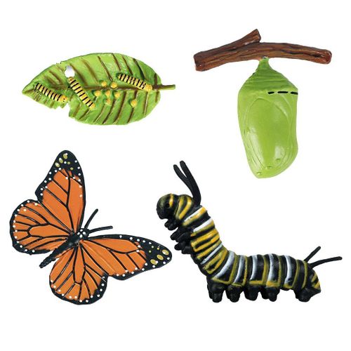 Figurine D'Insecte En Forme De Papillon, 4 Pièces, Cycle De Croissance, Jouet Éducatif Pour Enfants, Figurines De Classe, Jouet D'Imagination
