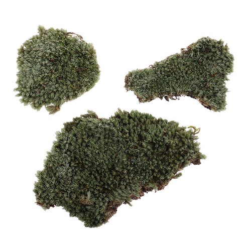 Armure Militaire En Mousse De Lichen, Table De Sable, Modèle Aménagement Pour Un Paysage À L'Échelle 1/35