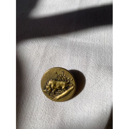 Bouton Ancien, Vènerie Chasse, Lr Et Frères , Paris