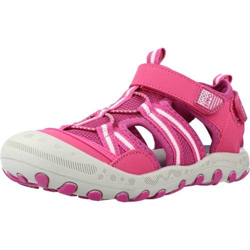 Gioseppo Abaira Colour Rose
