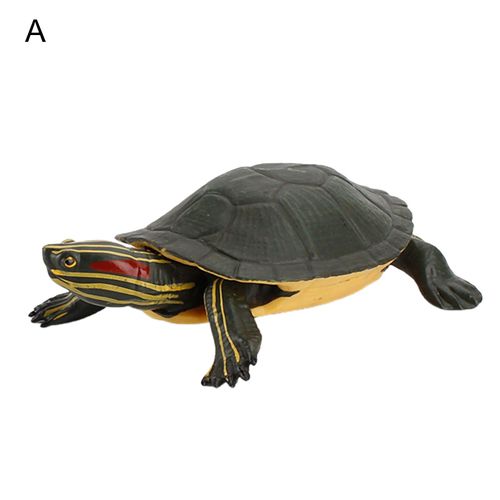 Ornement De Bureau En Forme De Tortue, Simulation D'Animaux, Modèle Éducatif, Poupée D'Apprentissage, Jouets Éducatifs Pour Enfants, Cadeau