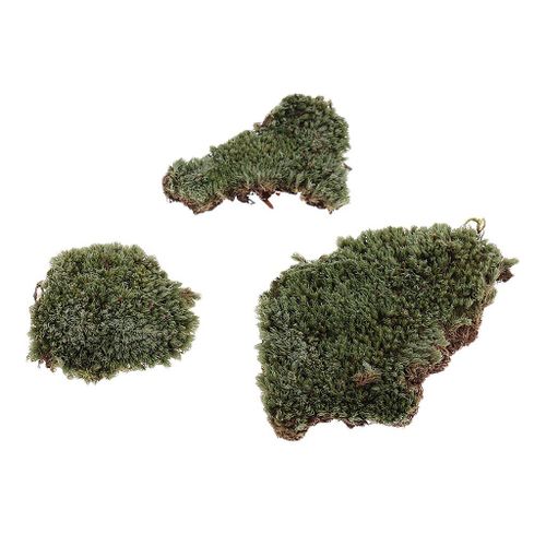Gazon Vert En Mousse De Lichen, Échelle 1:35, Modèle De Pelouse, Bricolage Pour Armure Militaire