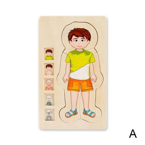 Puzzle En Bois Du Corps Humain Pour Enfant, Jouet De Construction Multicouche, Apprentissage, Éducation Précoce, Cognition, Bébé, Intelli M5q8