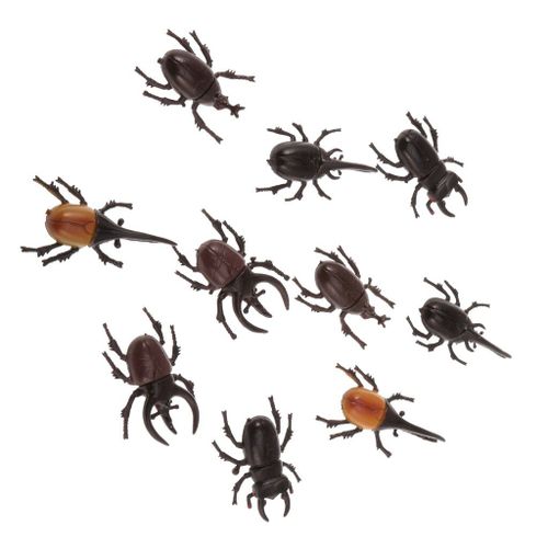 Figurines De Coccinelle Vive, 10 Pièces, Collection D'Insectes, Jouet Amusant
