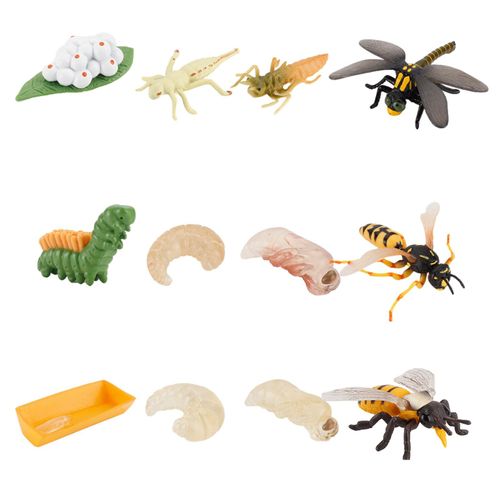 Figurines Insectes Cognitifs Pour Enfants, 12 Pièces, Modèle De Jouet, Ornements, Libellule, Guêpe, Cycle De Croissance, Simulation De La Vie Des Abeilles, Insectes