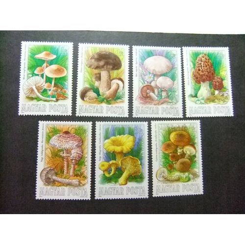 Hongrie Hongrie Hongrie Magyar Posta 1984 Champignons Comestibles Yvert 2935 / 2941 ** Mnh