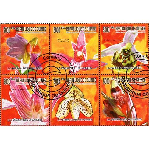 Timbres Thèmatiques Guinée N° 4936/41 Oblitérés