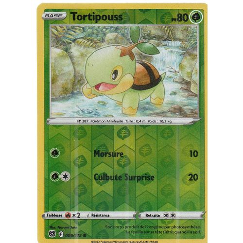 Carte Pokemon - Tortipouss - 006/172 - Reverse - Épée Et Bouclier 9 - Stars Etincelantes - Eb9 -Vf
