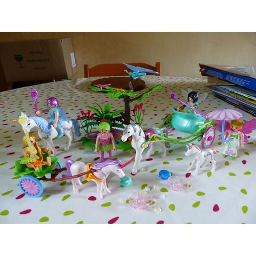Playmobils Lot De Chars A Fees + Licorne Et Mare 