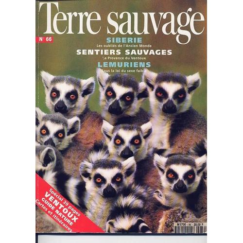 Terre Sauvage N° 66 : Sentiers Sauvages La Provence Du Ventoux