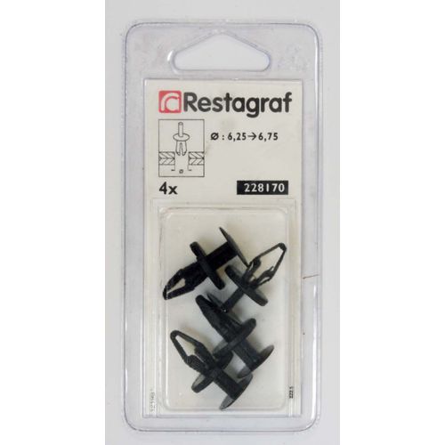 Rivets Restagraf 228170 X4