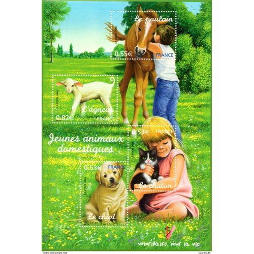 France.Bloc 96 De 2006.Les Jeunes Animaux Domestiques.Neuf