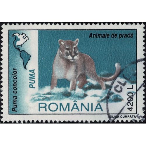 Roumanie 2020 Oblitéré Used Animal Puma Concolor Felis Y&t Ro 4643 Su