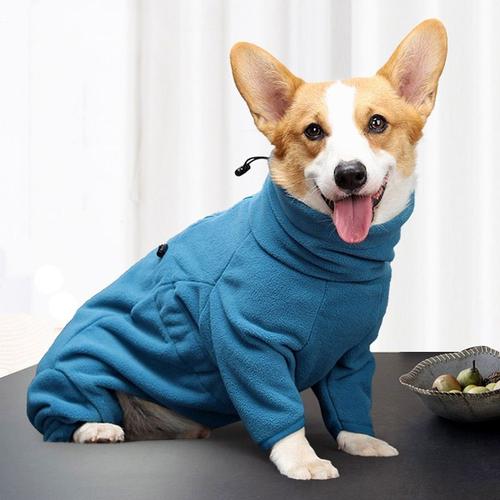 manteau pour corgi