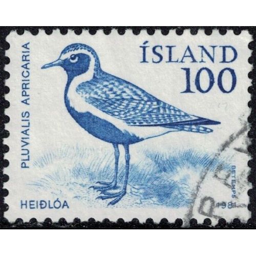 Islande 1981 Oblitéré Used Oiseau Pluvialis Apricaria Pluvier Doré Y&t Is 521 Su