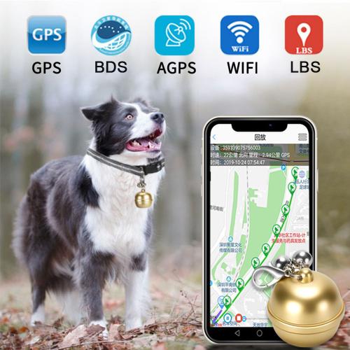 Traceur GPS intelligent pour animaux de compagnie, localisateur