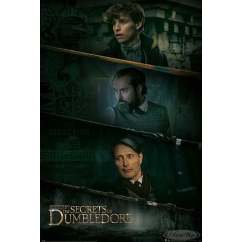 Poster Fantastic Beasts The Secrets Of Dumbledore - Trois Baguettes Magiques