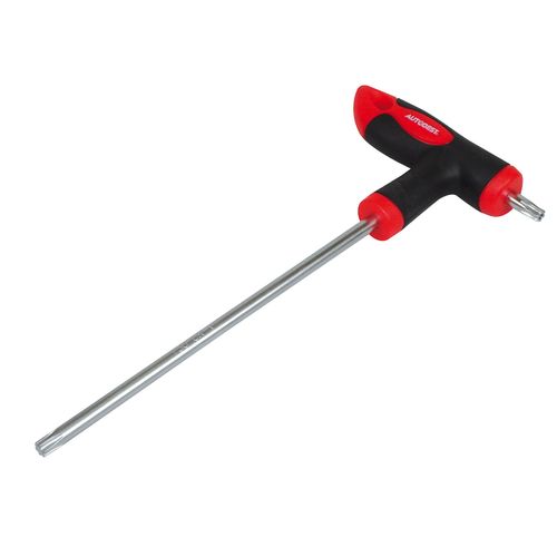 Tournevis en T, TORX T25