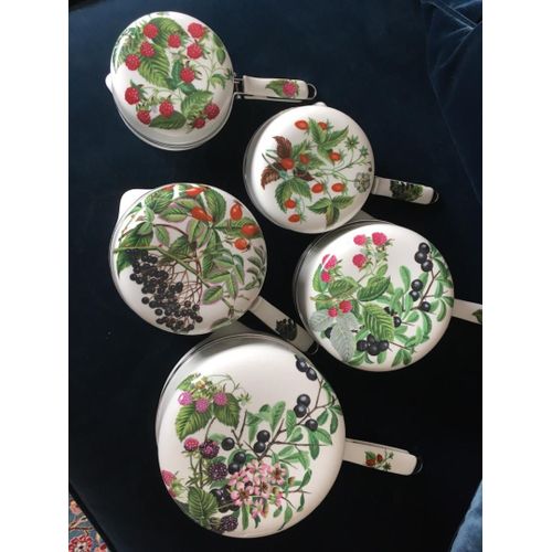 Lot De 5 Casseroles Porcelaine De Paris / Décor Fruits Sauvages
