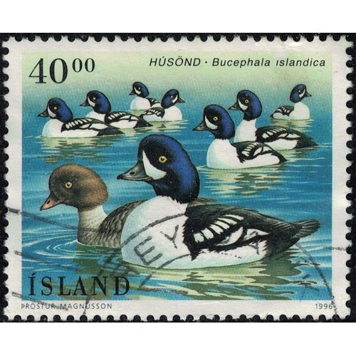 Islande 1996 Oblitéré Used Oiseaux Canard Bucephala Islandica Garrot D'islande Y&t Is 794 Su