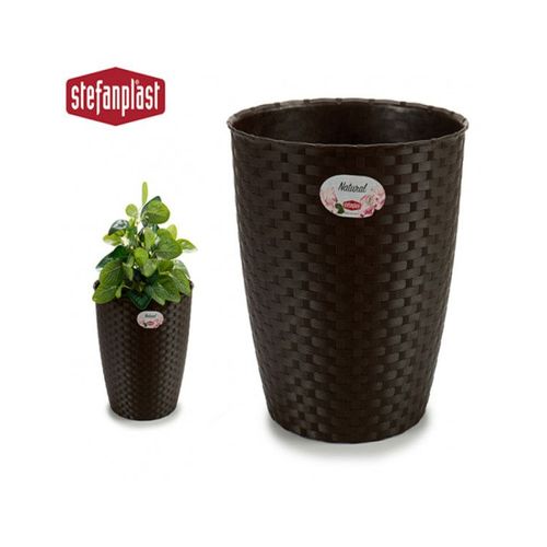 Pot