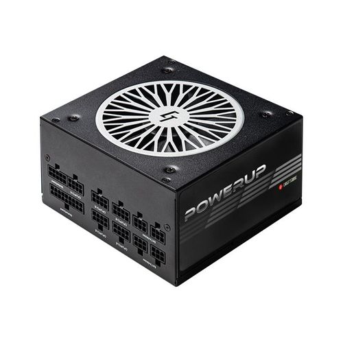 Chieftronic PowerUp Series 650W - Alimentation électrique (interne) - ATX12V 2.53 - 80 PLUS Gold - CA 100-240 V - 650 Watt - PFC active