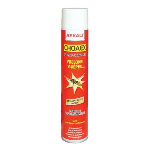 Insecticide anti guêpes frelons Choaex aérosol de 1000 ml - AEXALT - IC075