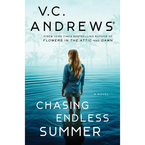 Chasing Endless Summer