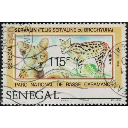 Sénégal 1987 Oblitéré Used Animal Félin Leptailurus Serval Basse Casamance Y&t Se 722 Su