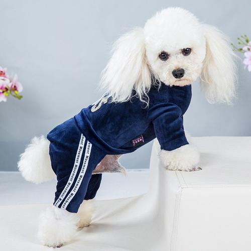 Manteau pour 2024 chien avec pattes