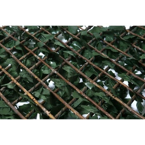 Catral - Treillis Extensible Avec Feuilles Basic - 1x2m