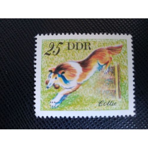 Timbre Allemagne / Rda Yt 1834 Colley (Canis Lupus Familiaris) 1976 ( 100306 )