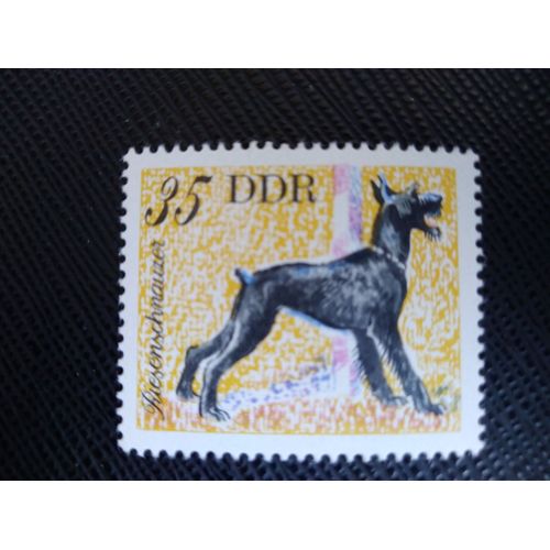 Timbre Allemagne / Rda Yt 1835 Schnauzer Géant (Canis Lupus Familiaris) 1976 ( 100306 )