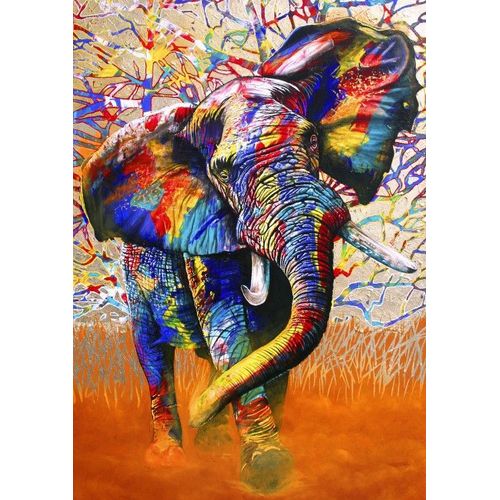 African Colours - Puzzle 1000 Pièces