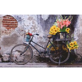 Puzzle Moment - Bicyclette - 200 Pièces