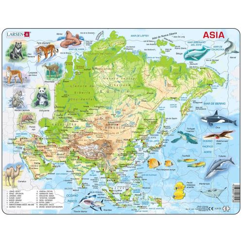Puzzle Cadre - Carte Topographique De L'asie (Espagnol) - 63 Pièces