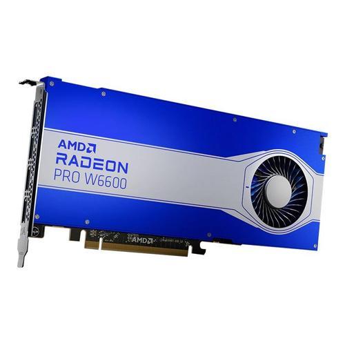 AMD Radeon Pro W6600 - Carte graphique - Radeon Pro W6600 - 8 Go GDDR6 - PCIe 4.0 x8 - 4 x DisplayPort