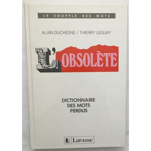 L'obsolète Dictionnaire Des Mots Perdus