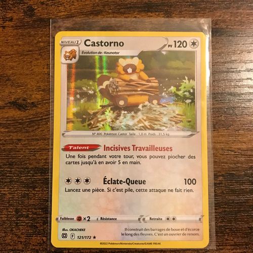 Castorno Holo 121/172