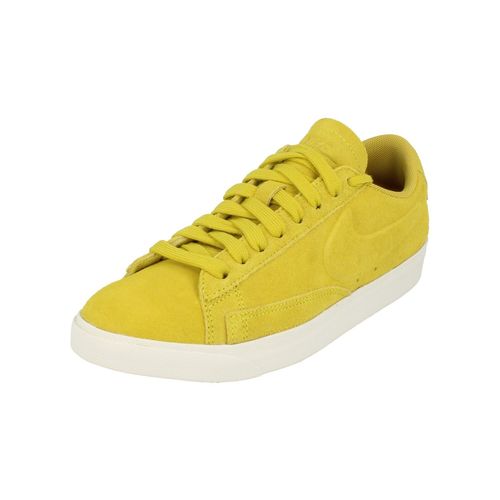 Nike Blazer Low Sd Trainers Aa3962 300
