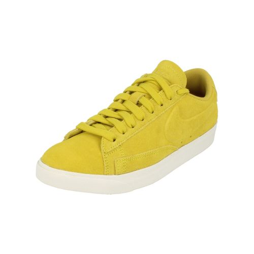 Nike Blazer Low Sd Trainers Aa3962 300