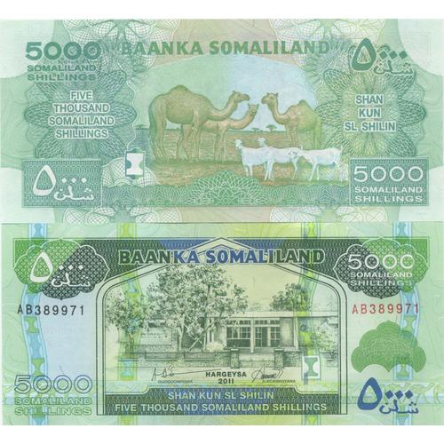 Billets Banque Somaliland Pk N° 21 - 5000 Shillings